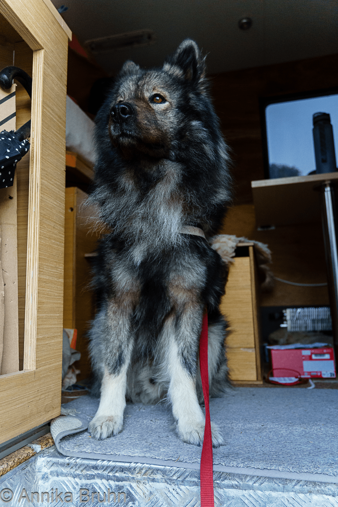 Da schaut Q aber aufmerksam in die Luft!